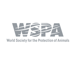 World Society for the Protetion of Animals