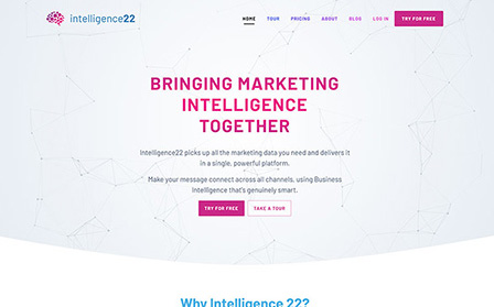 Intelligence22 website